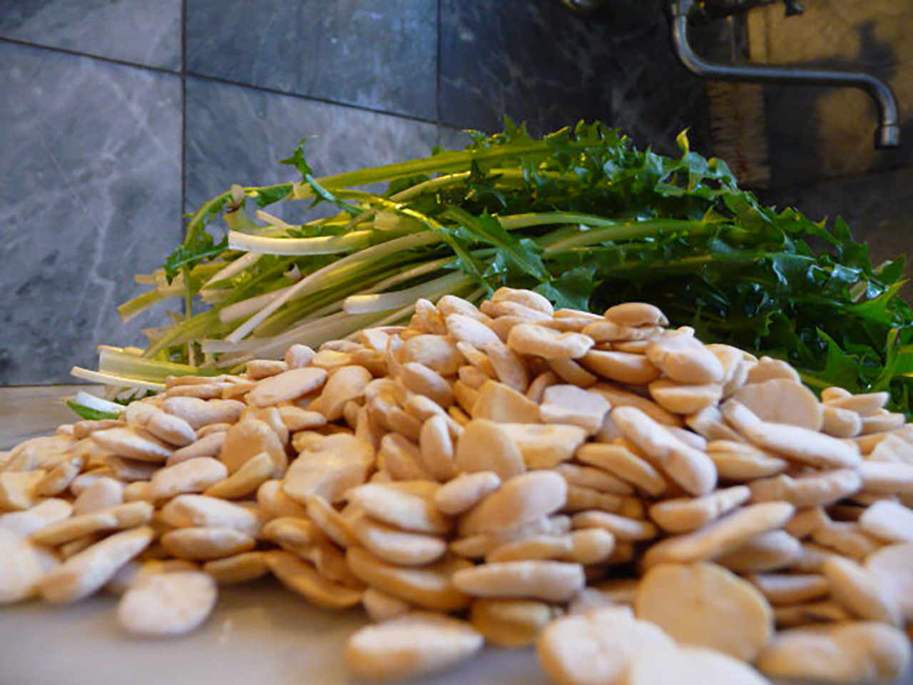 Ingrédients italiens : fèves sèches et chicorée